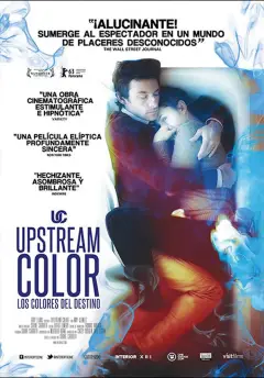 Los Colores del Destino: Upstream Color