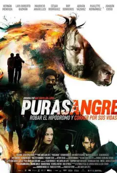 Purasangre