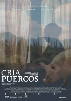 Cría Puercos