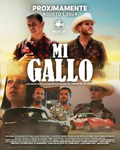 Mi Gallo