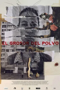 El Grosor Del Polvo